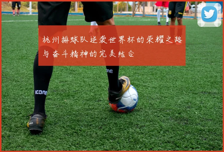 杭州排球队逆袭世界杯的荣耀之路与奋斗精神的完美结合