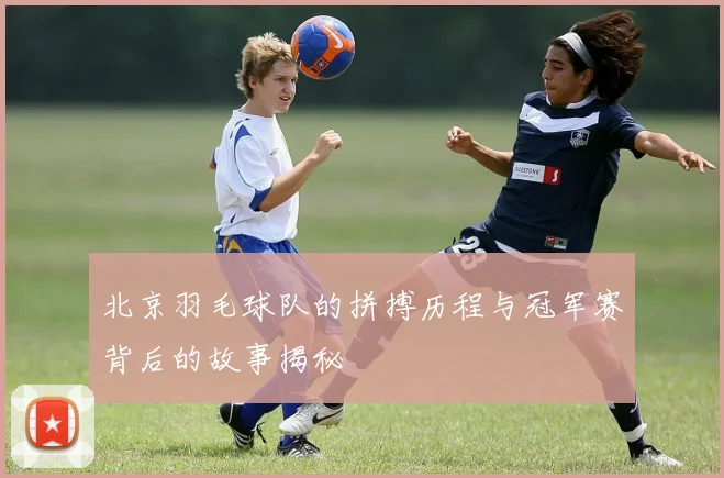 北京羽毛球队的拼搏历程与冠军赛背后的故事揭秘