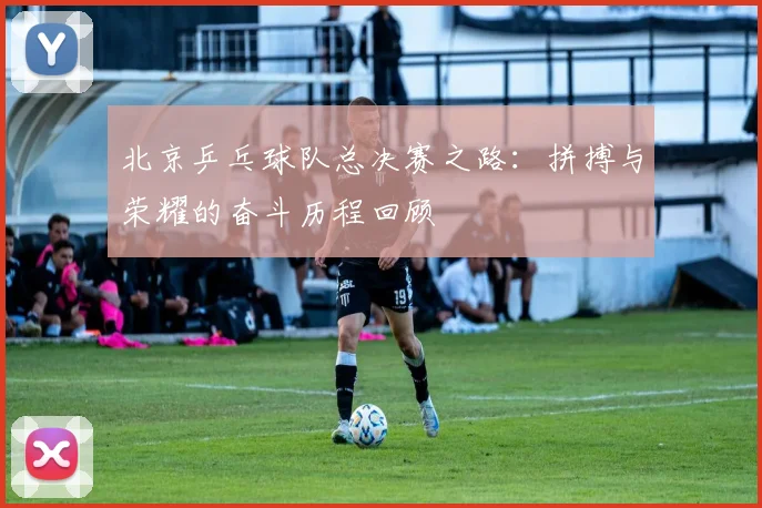 北京乒乓球队总决赛之路：拼搏与荣耀的奋斗历程回顾